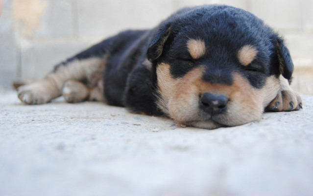 Las consultas de MySQL en estado sleep