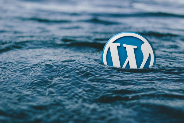 ¿Cómo actualizar WordPress?