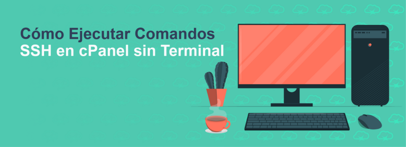 Cómo Ejecutar Comandos SSH en cPanel sin Terminal
